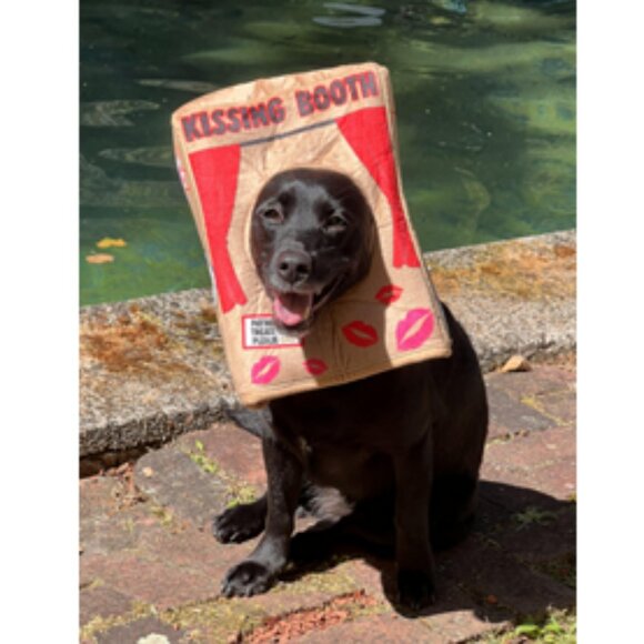 HARD TO FIND!!! NWT ~ Bootique Kissing Booth Pet Costume Headpiece Large/X-Large - Picture 9 of 13